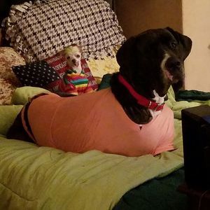 Meet your Posher, Eileen